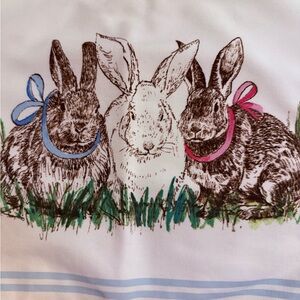 Charming Bunny cotton 14” x 19”  🐰 Placemats 2 sets of 4 placemats